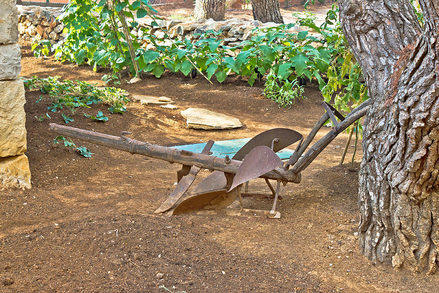 Old rusty iron plow view Photograph by Brch Photography