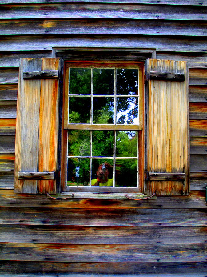 Old Salem Window Two Photograph by Randall Weidner
