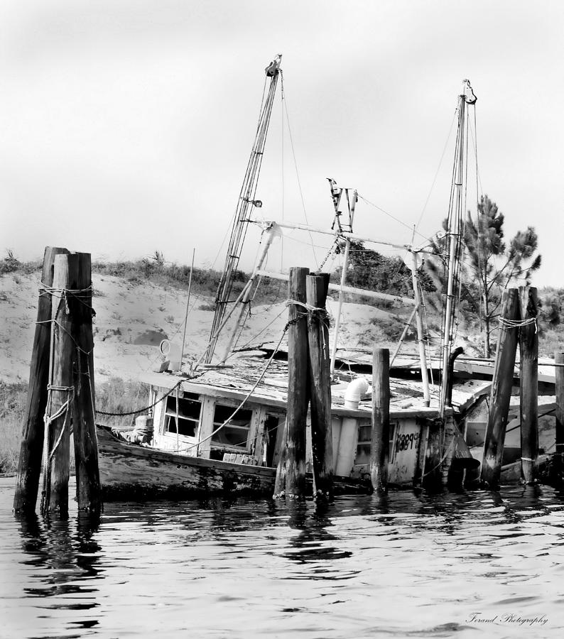Old Salty Photograph by Debra Forand