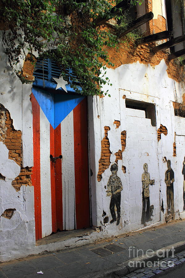 Old San Juan Flag Door Photograph by Bryan Noll - Fine Art America