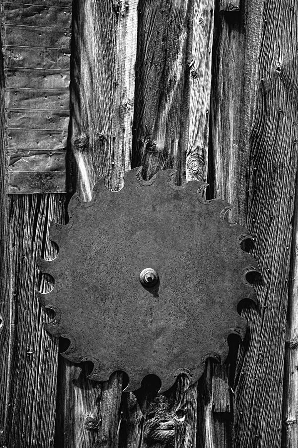 Old Saw Blade Photograph by Garry Gay
