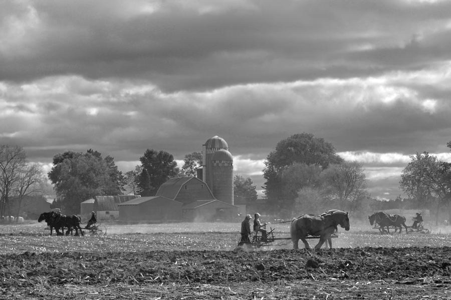 Horse Photograph - Old School Farming by Jodi Pflepsen