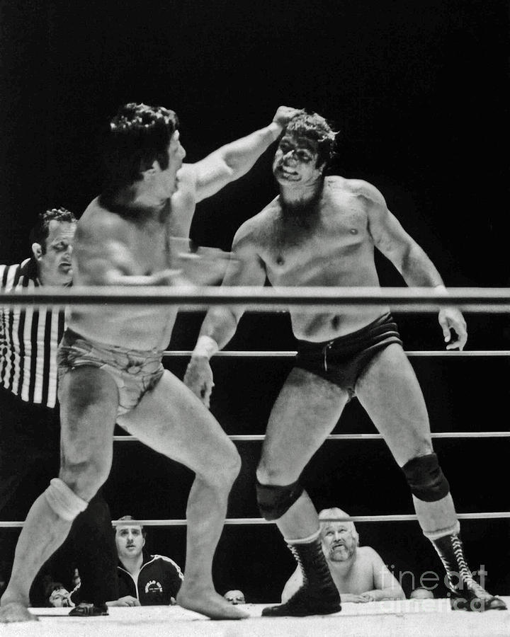 Old School Wrestlers Dean Ho and Don Muraco Battling it out in the Middle of the Ring Photograph by Jim Fitzpatrick