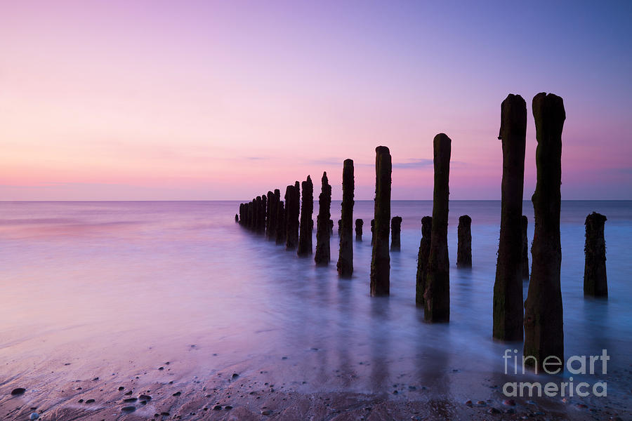 Nature Photograph - Old Sea Defence Posts at Sunrise by Colin and Linda McKie