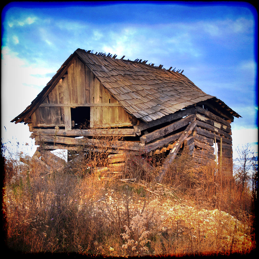 Old Settler Photograph by Gabrielle Corley - Fine Art America