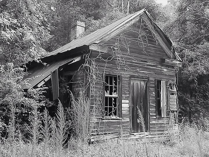 Old shanty Photograph by Jennifer Stevenson - Fine Art America