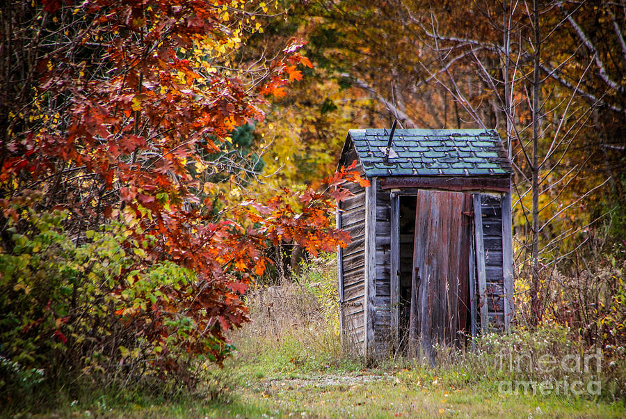 Old Shed and Fall Colors Photograph by Grace Grogan