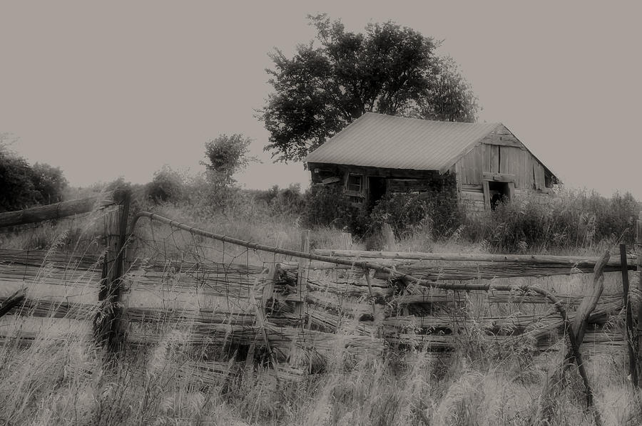 Old Shed and Fence Photograph by Jim Vance