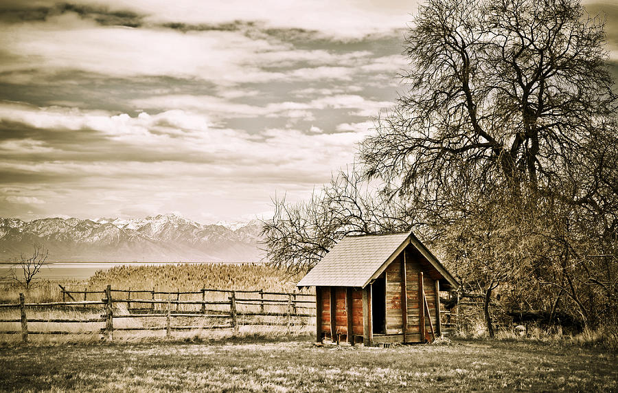 Old Shed and Mountains Photograph by Marilyn Hunt