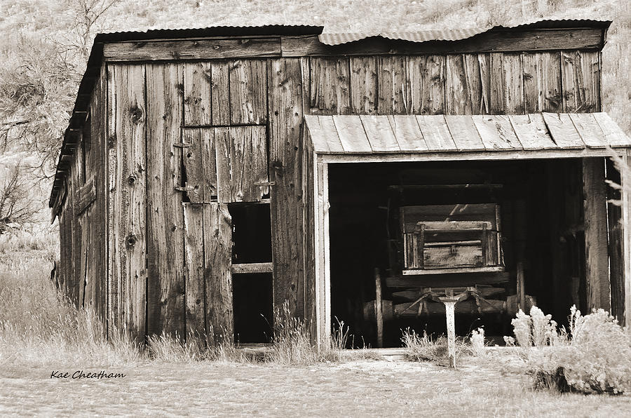 Wagon Photograph - Old Shed and Wagon - Sepia by Kae Cheatham