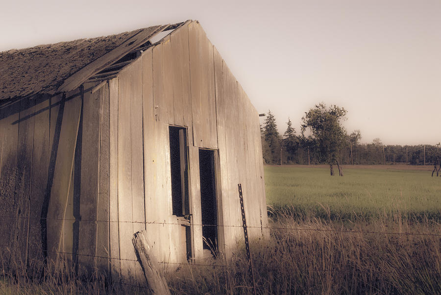 Old Shed Photograph by Craig Perry-Ollila
