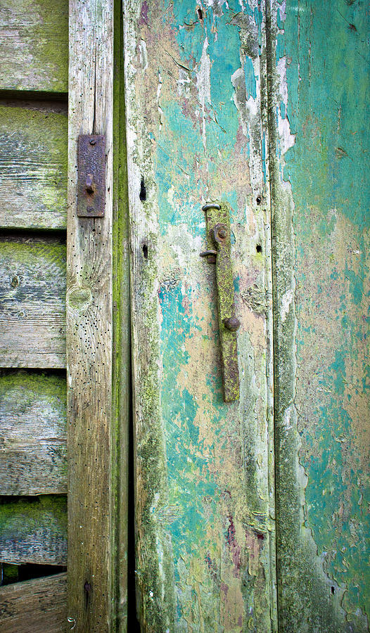 Vintage Photograph - Old shed door by Tom Gowanlock
