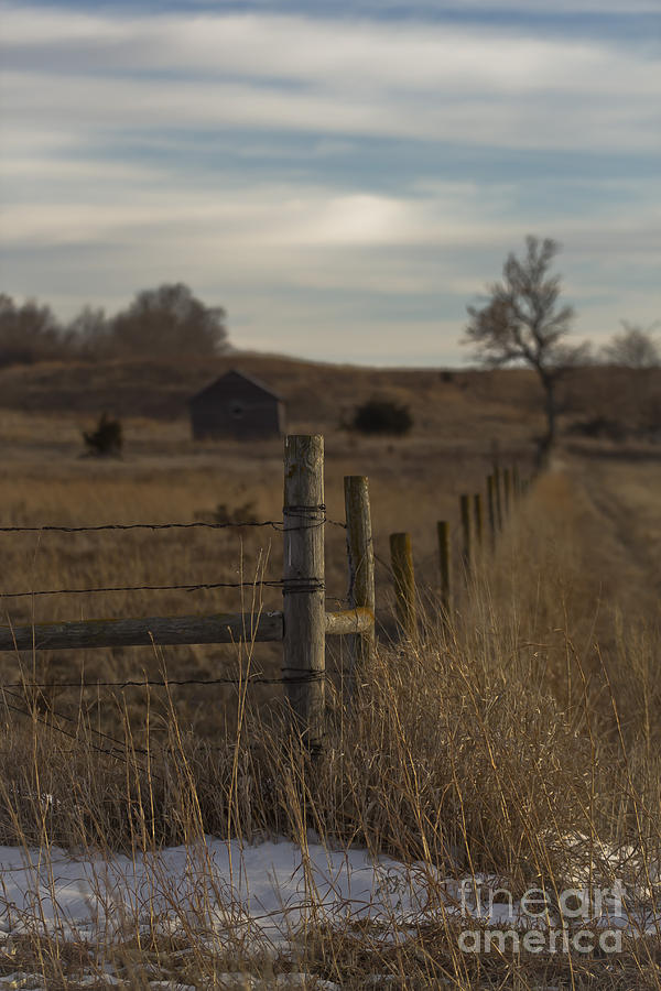 Rural Nebraska Fence  Photograph by Steve Triplett