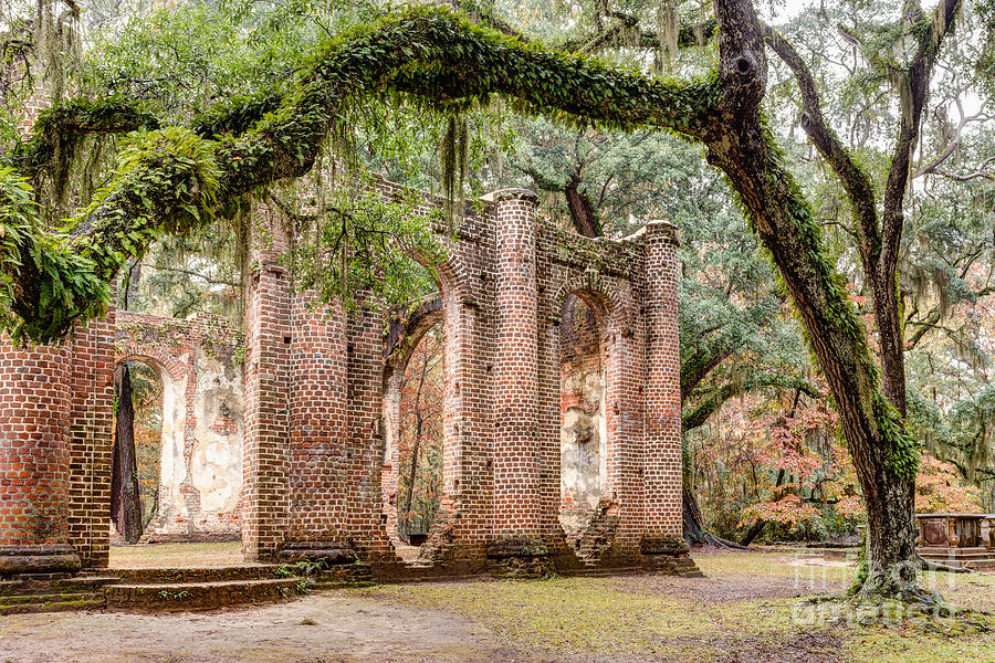 Old Sheldon Church Ruins Beaufort County South Carolina Photograph by Dawna Moore Photography