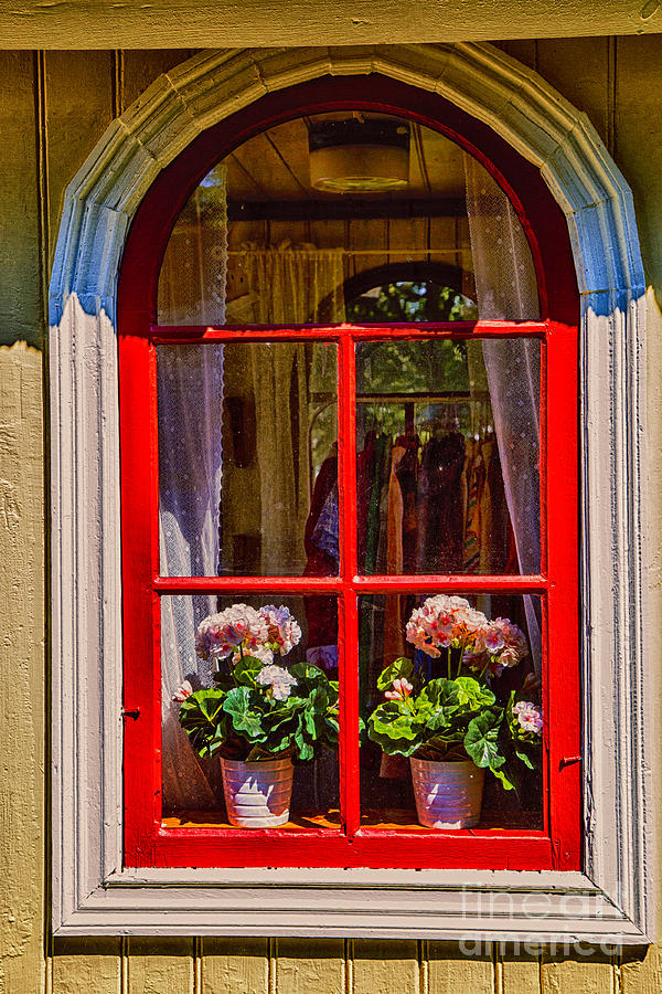 Old Shop Window Photograph by Rick Bragan