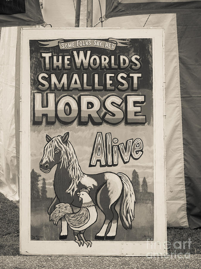 Horse Photograph - Old Sideshow Poster by Edward Fielding