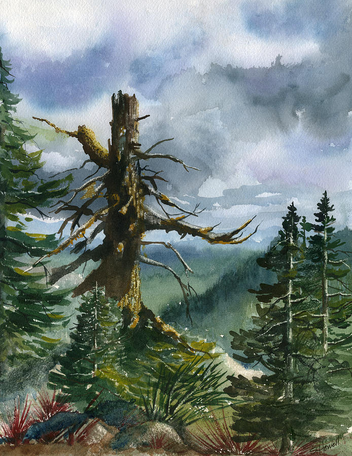 Tree Painting - Old Soul of the Forest by Sandi Howell