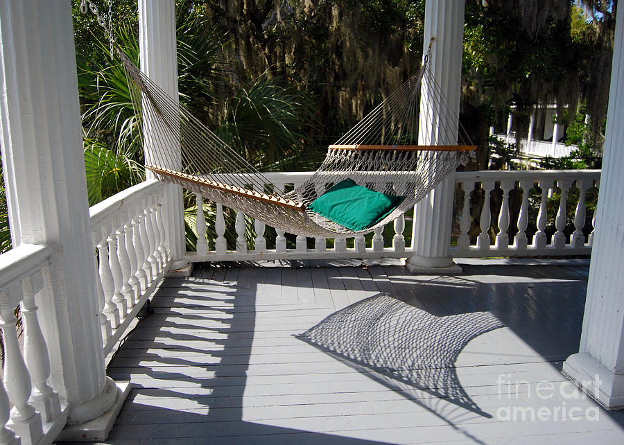 Old South Hammock Photograph by Catherine Sherman