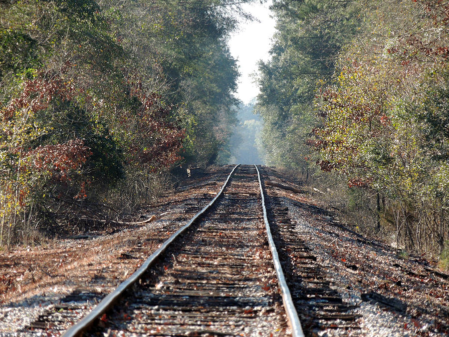 Albany Ga Photograph - Old Southern Tracks by Kim Pate