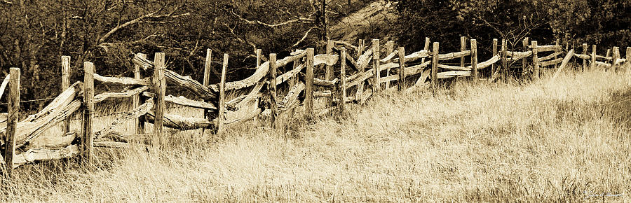 Old Split Rail Fence Photograph by John Harmon