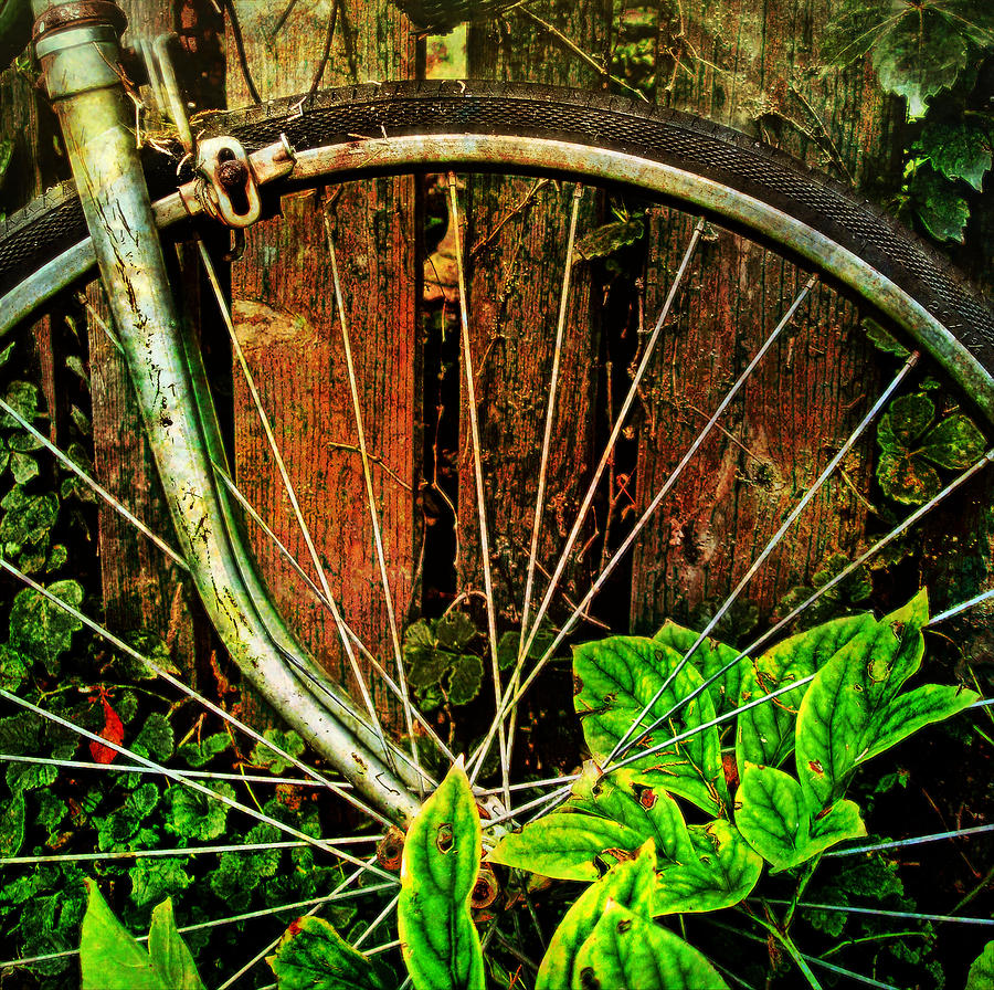Old Spokes Photograph by John Anderson
