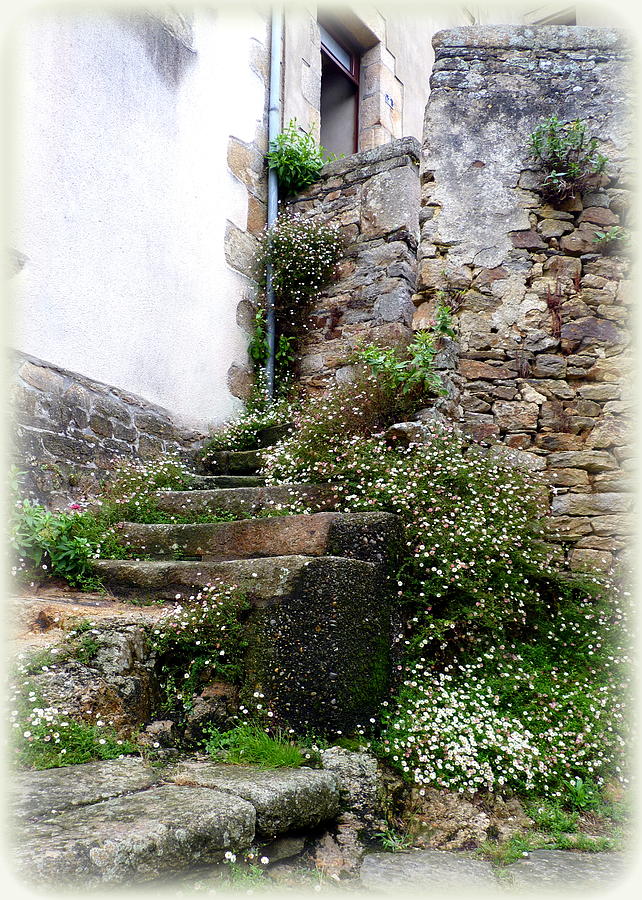 Flower Photograph - Old Stone Steps by Carla Parris
