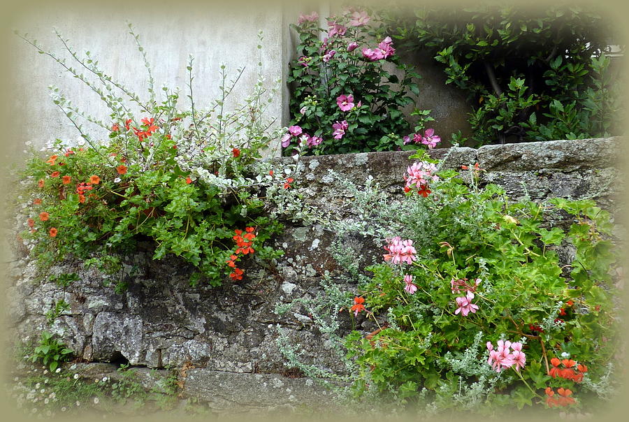 Old Stone Wall Photograph by Carla Parris