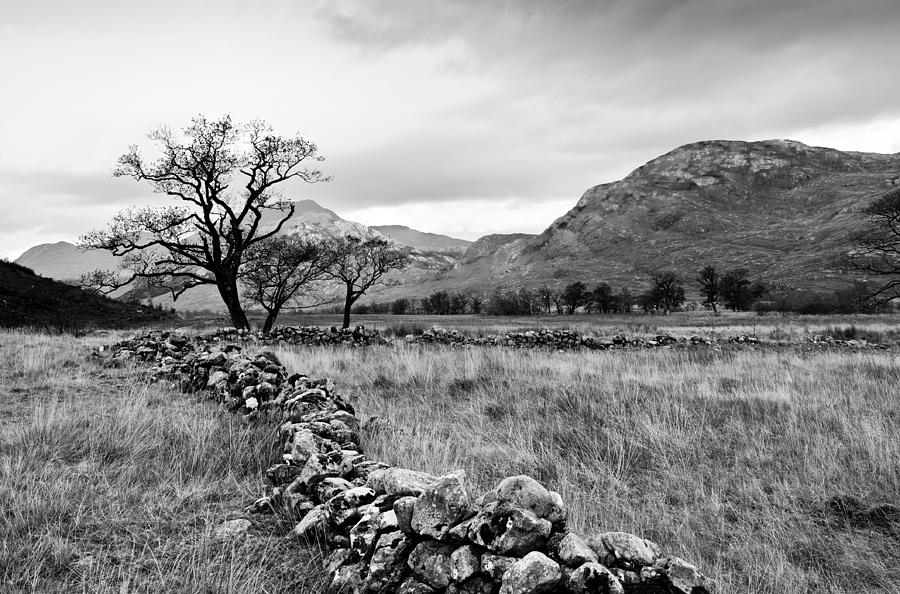 Old stone wall Photograph by Gary Eason