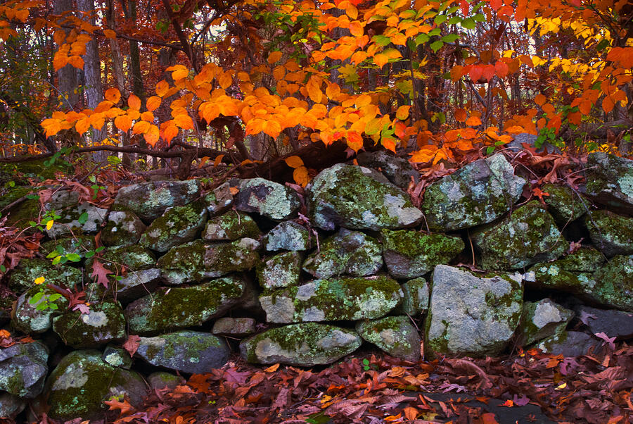 Old Stone Wall Photograph by Paul W Faust -  Impressions of Light