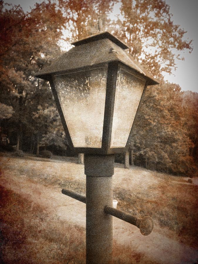 Tree Photograph - Old Street Lamp by Richard Reeve