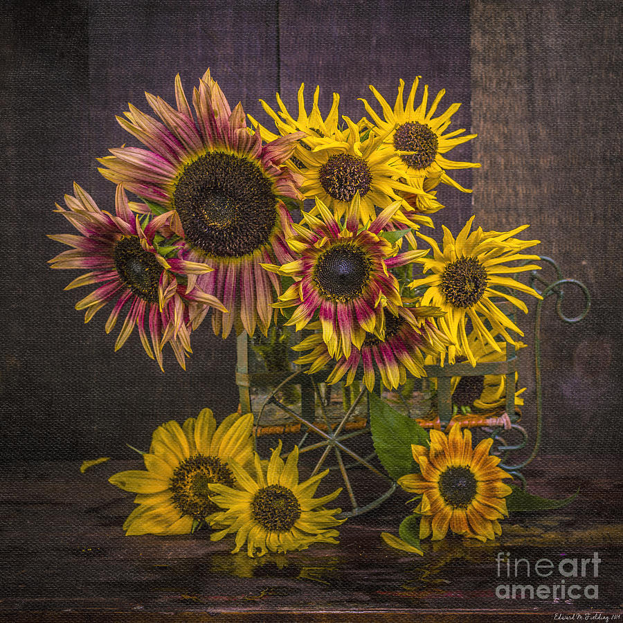 Old Sunflowers Photograph