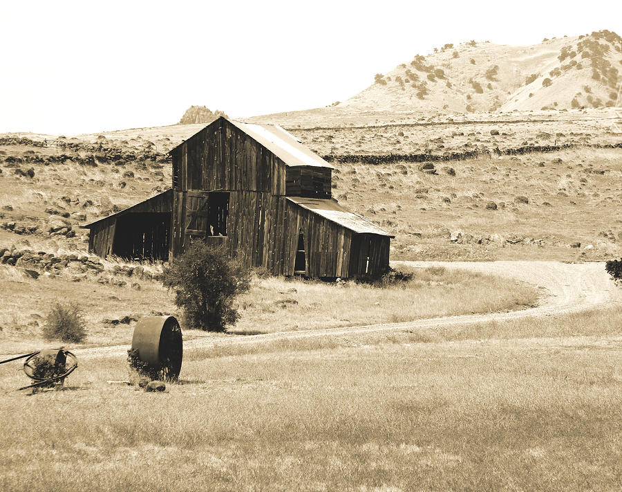 Old Sutter Barn sepia Photograph by Pamela Patch