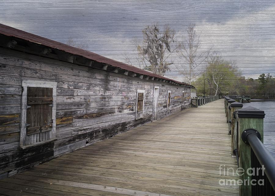 Old Terminal on the Waccamaw Photograph by MM Anderson