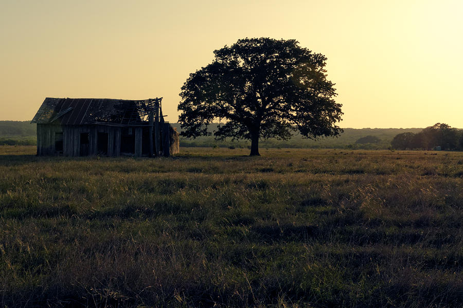 Old Texas Farm House Photograph