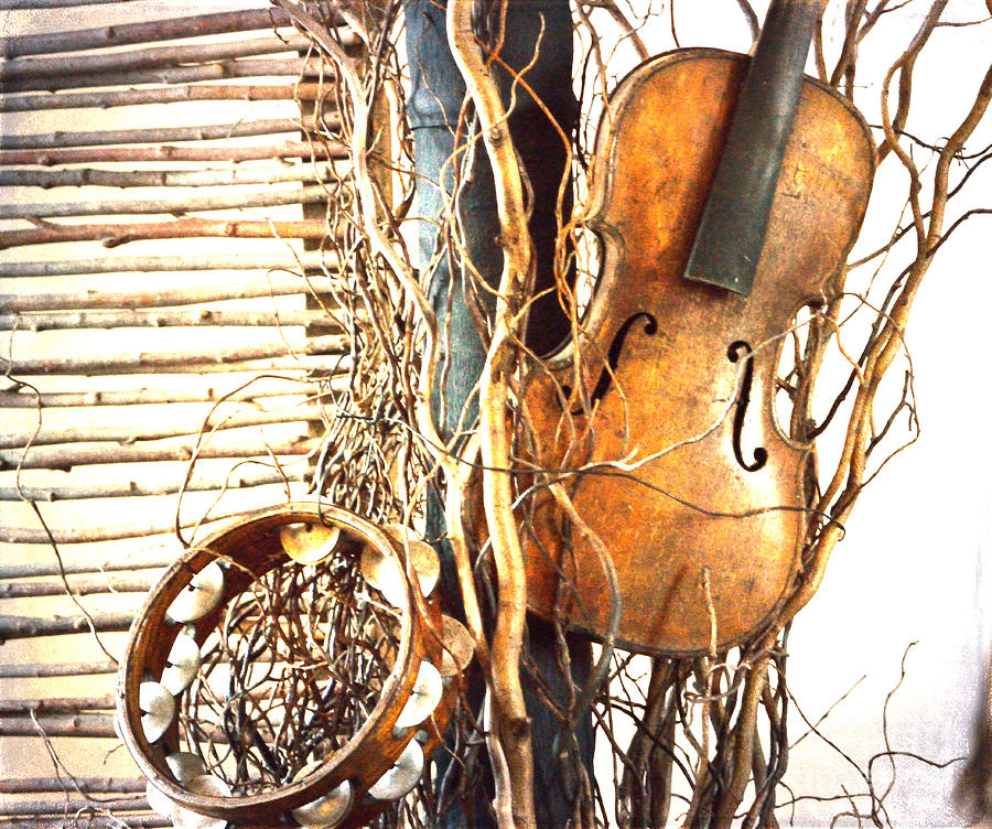 Old Time Music Photograph by Alys Caviness-Gober