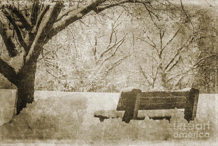 Old Time Winter Day Photograph by Judy Wolinsky