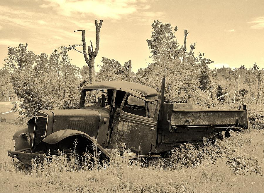 Old Timer Out to Pasture Photograph by Loretta Pokorny