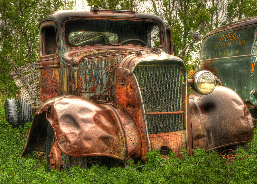 Old Timer Photograph by Thomas Young