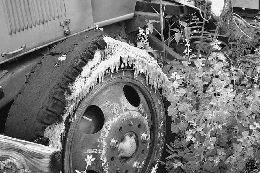 Old Tire Digital Art by Jorge Estrada