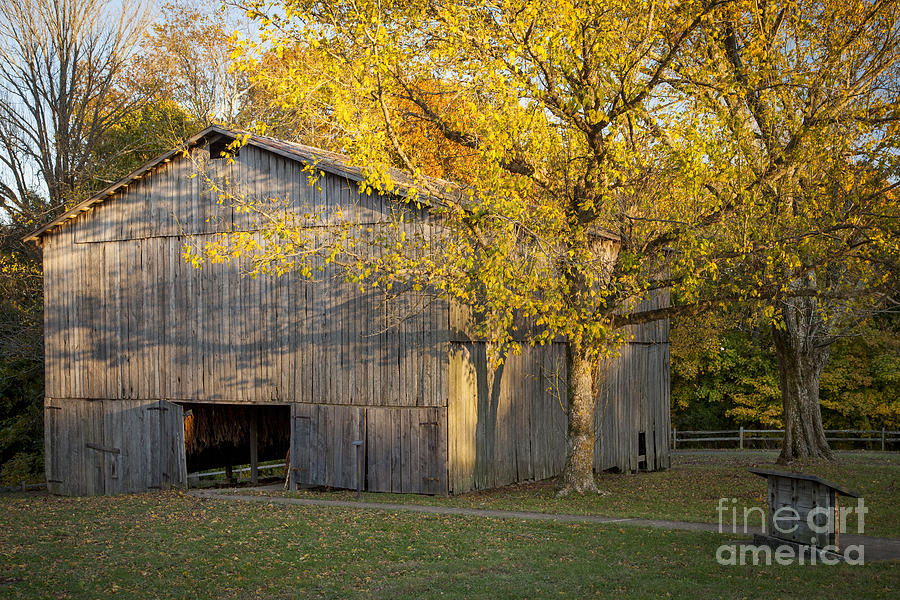 Old Tobacco Barn - Autumn - Tennessee Photograph by Brian Jannsen