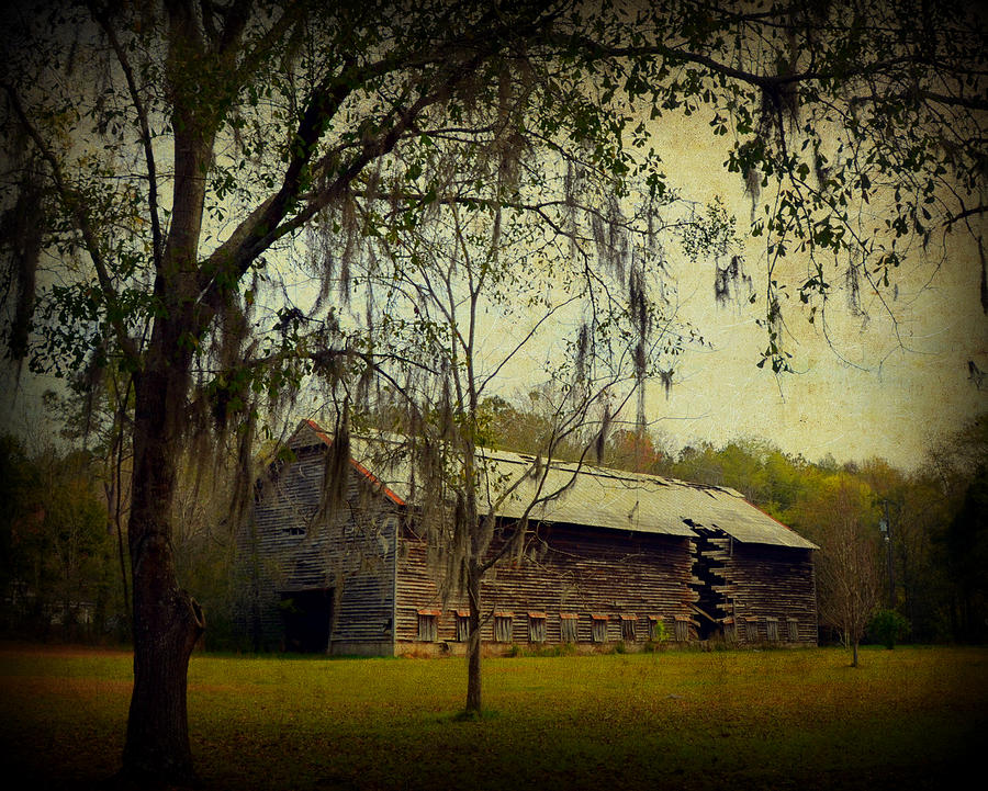 Old Tobacco Barn Photograph by Carla Parris