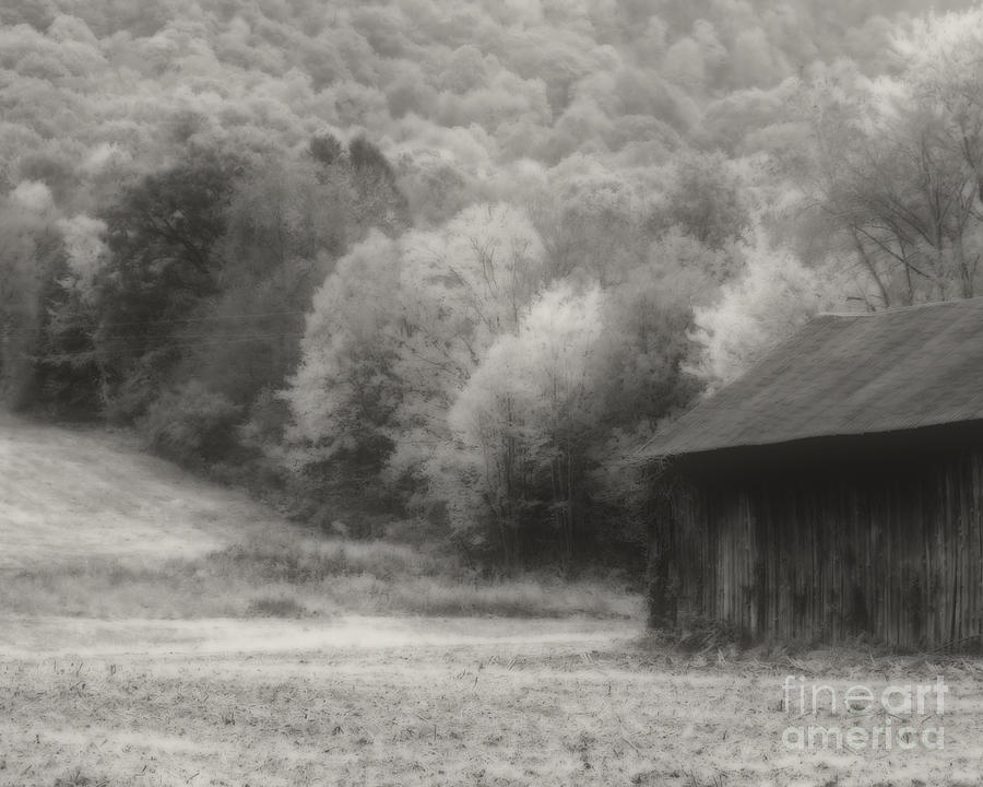 Old Tobacco Barn In Black And White Photograph by Smilin Eyes Treasures