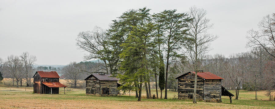 Old Tobacco Barns Photograph By Joe Oliver