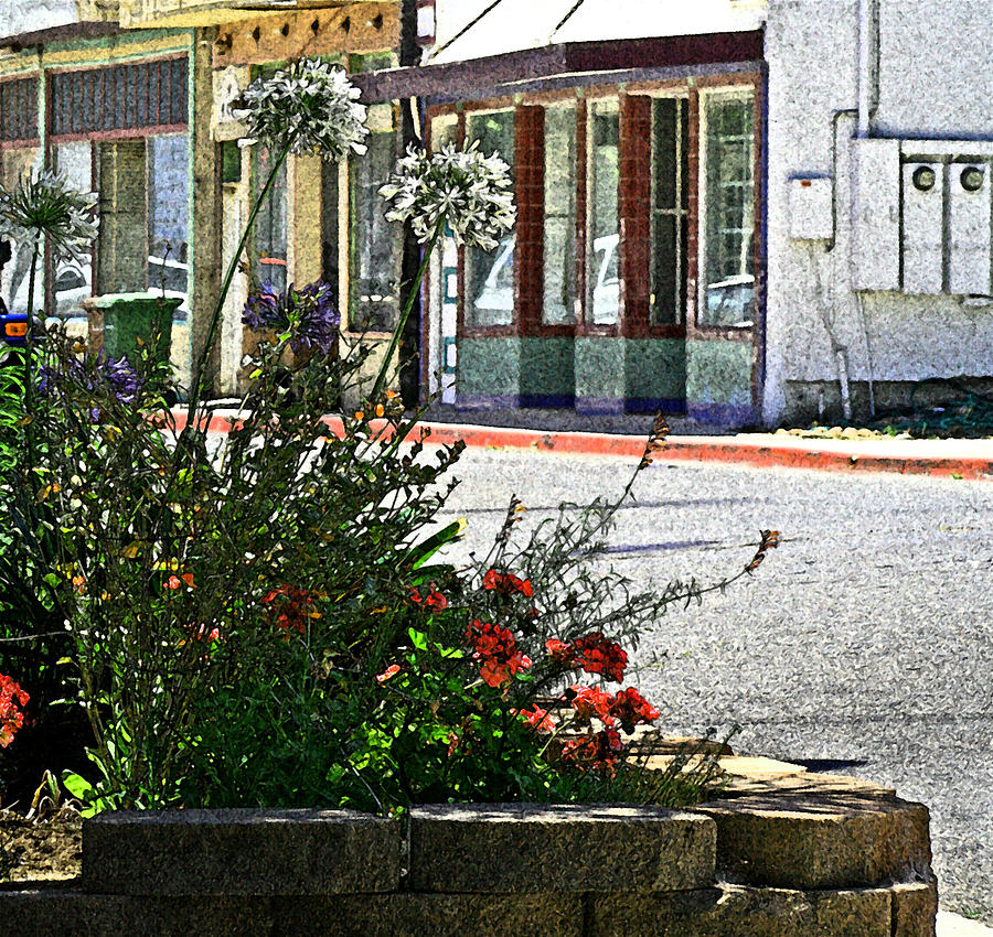 Old Town Flowers Photograph by Joseph Coulombe