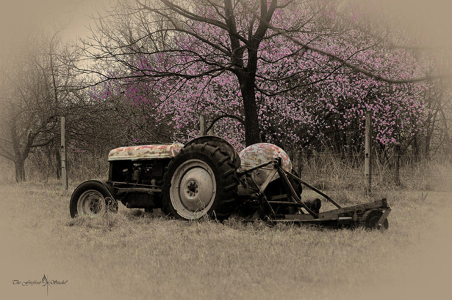 Old Tractor and Redbuds SEPIA Photograph by Jill Westbrook