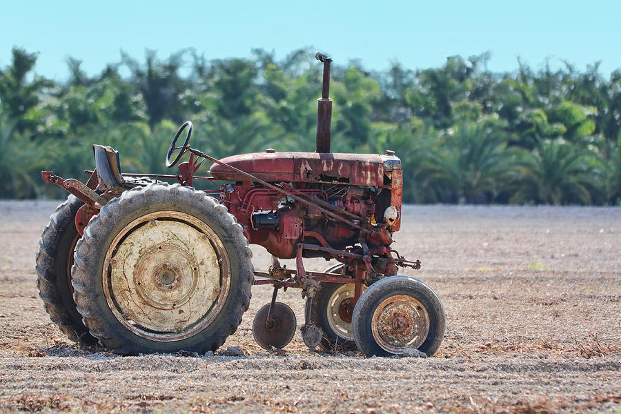 Old Tractor Photograph by Rudy Umans