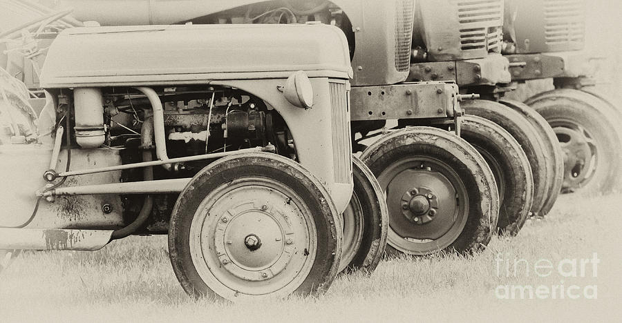 Old Tractors Photograph by Wilma  Birdwell