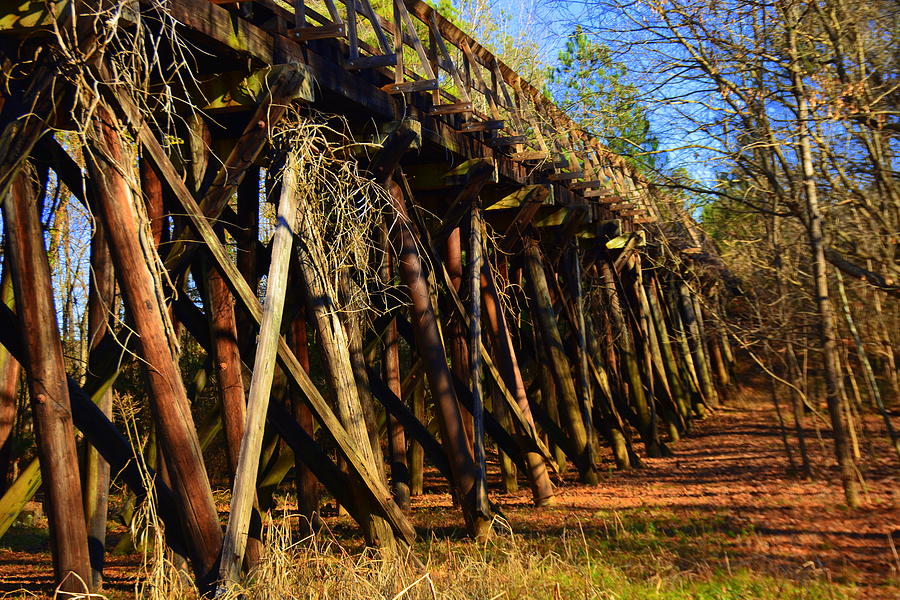 Old Train Trestle Photograph by Lisa Wooten