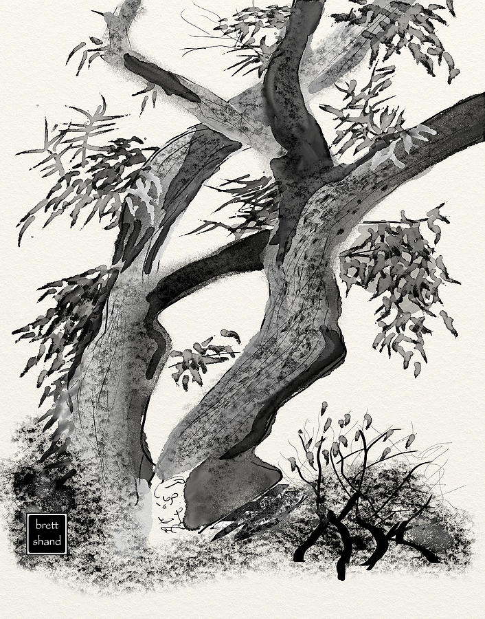 Old tree by Brett Shand Old tree by Brett Shand