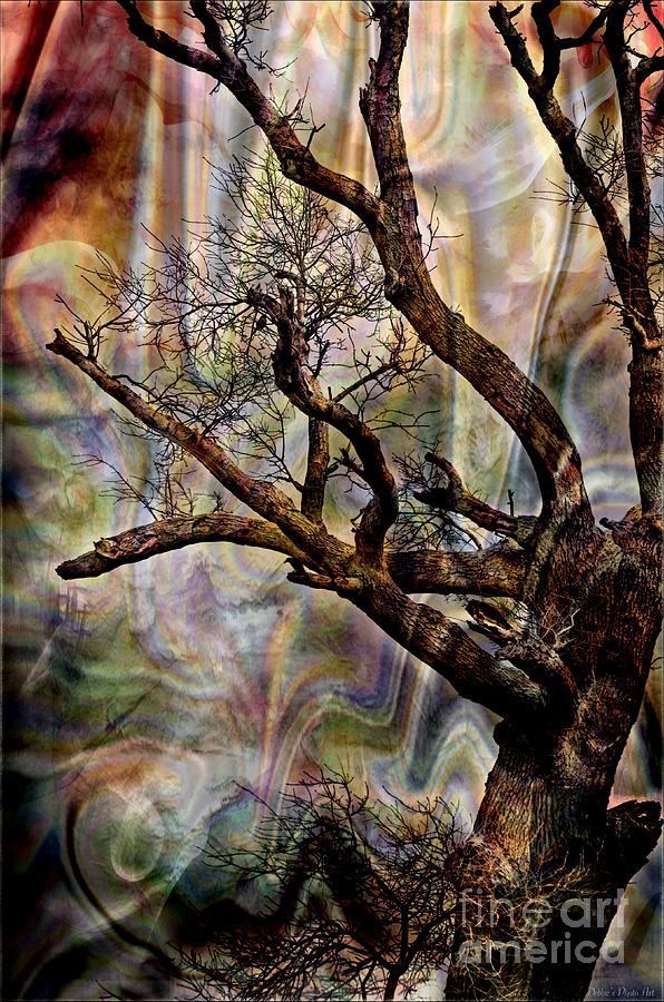 Nature Photograph - Old Tree photoart by Debbie Portwood